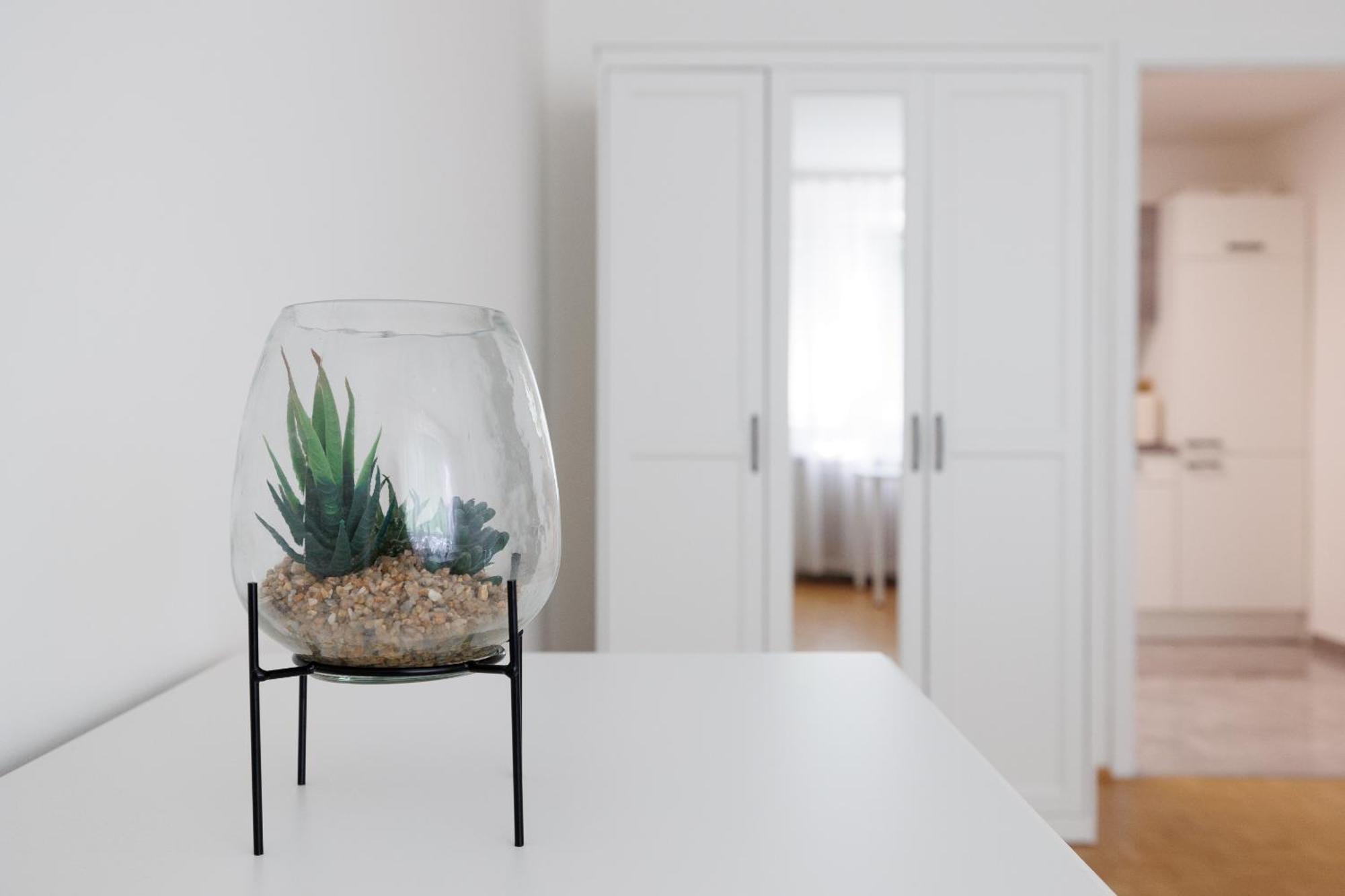 Neue Renovierte Und Möblierte Charmante Wohnung!!! Apartment *